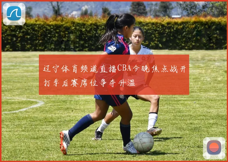 辽宁体育频道直播CBA今晚焦点战开打季后赛席位争夺升温