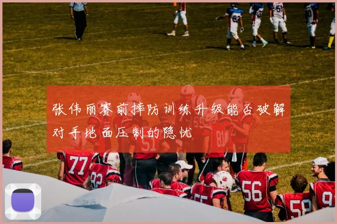 张伟丽赛前摔防训练升级能否破解对手地面压制的隐忧