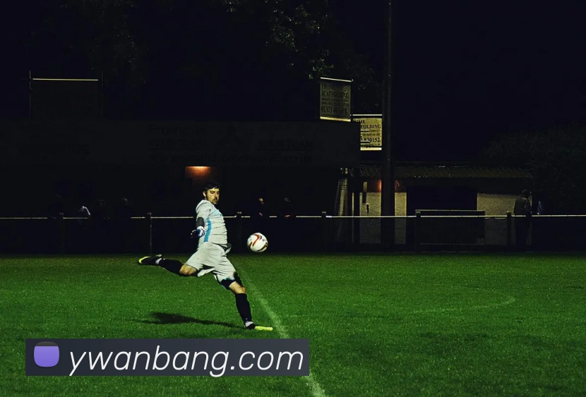 九游j9官网服务体系